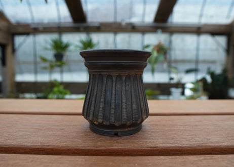 保田修作  pot No.41