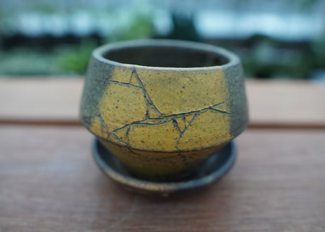 hechicami pot NO.12