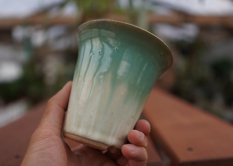 持木祐一pot NO.20