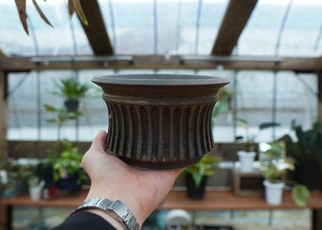 保田修作  pot No.65