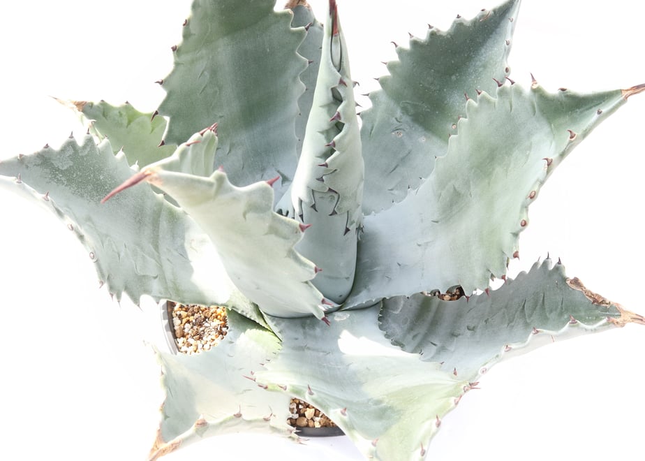 5bbe1d205f786664fc000604