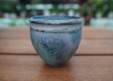 CATEGORY 神田知広 | mana's farm:塊根植物・アガベ・ドライ