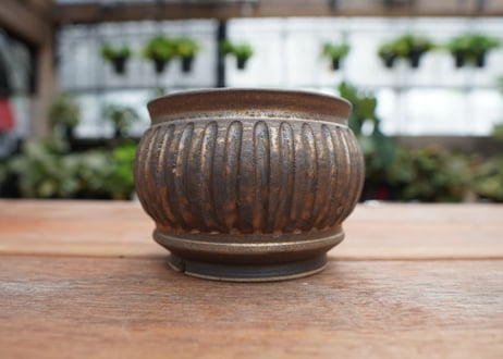 保田修作  pot No.27