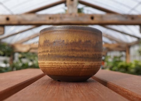 關まどか pot NO.21-4　F
