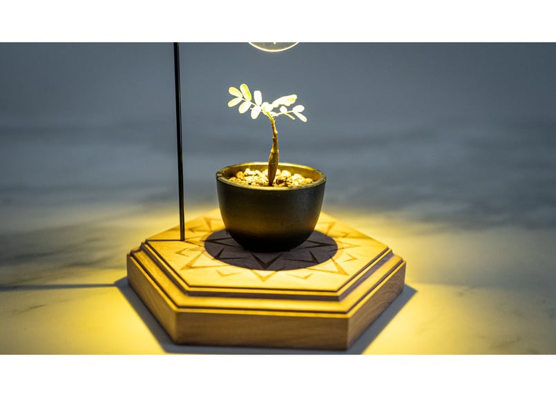 mana's farm original “王座台” 50台限定 | mana's farm: