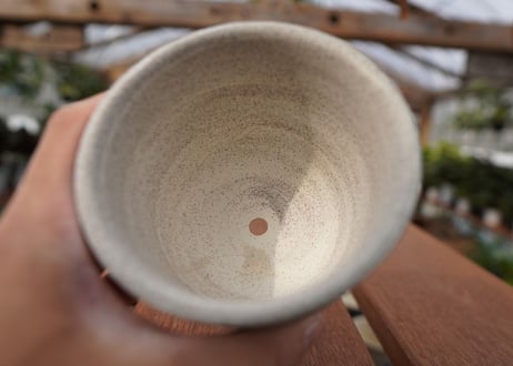 關まどか pot NO.22-2 F