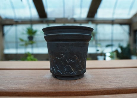 保田修作  pot No.59