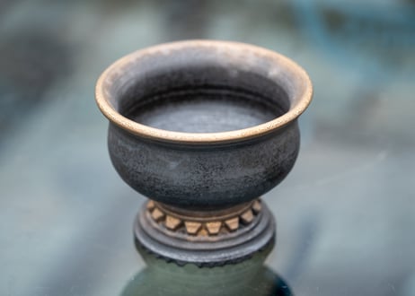molle épine pot No.2