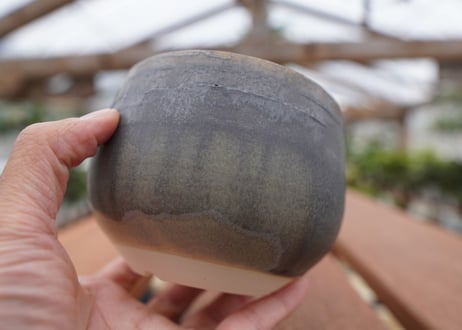 關まどか pot NO.29-5　Ｇ