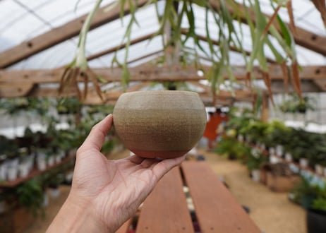 關まどか pot NO.26-1　Ｇ