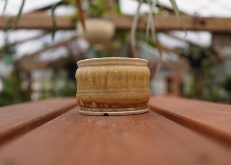 持木祐一pot NO.14