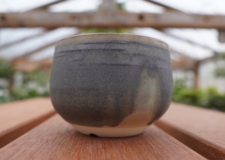 關まどか pot NO.29-5　Ｇ