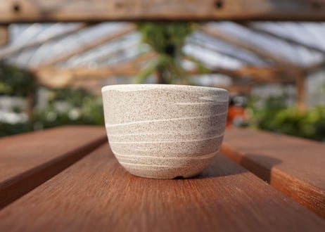 關まどか pot NO.19-1 F