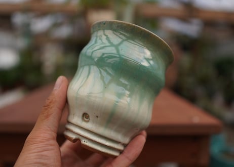 持木祐一pot NO.19