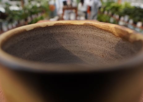 關まどか pot NO.21-5　F