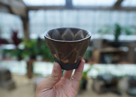 Muddy Punk pot No.23