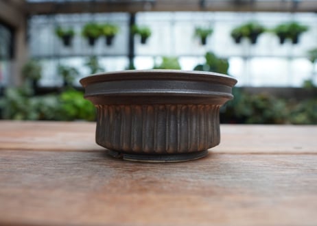 保田修作  pot No.14