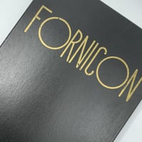 Title/ FORNICON 　Author/ Tomi Ungerer