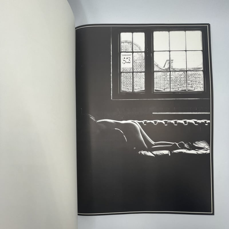 Title/ Haskins Posters <Mint Condition> Author/