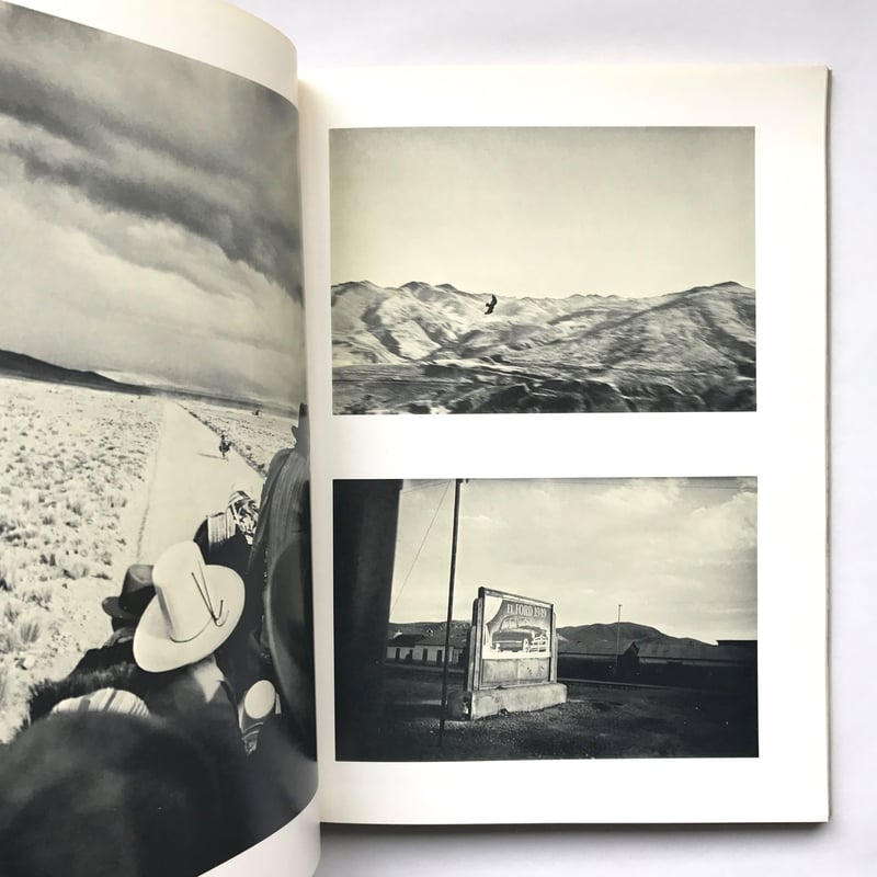 Title/ The Lines of My Hand Author/ Robert Fr