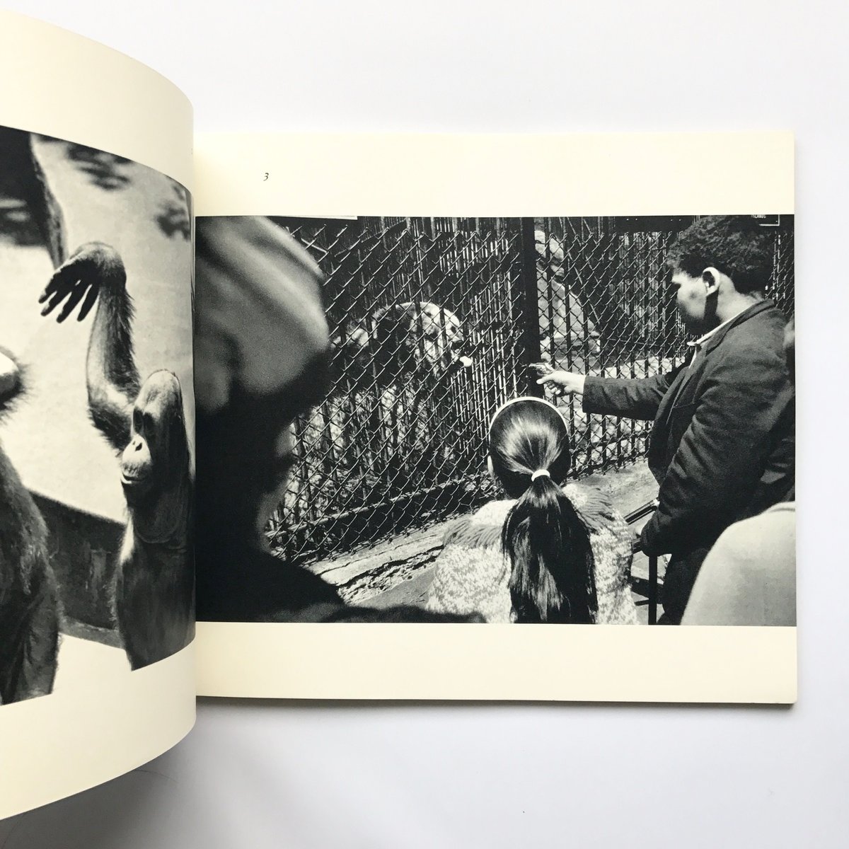 洋書 The Animals / Garry Winogrand GARRY WINOGRAND THE ANIMALS | BOOKNERD