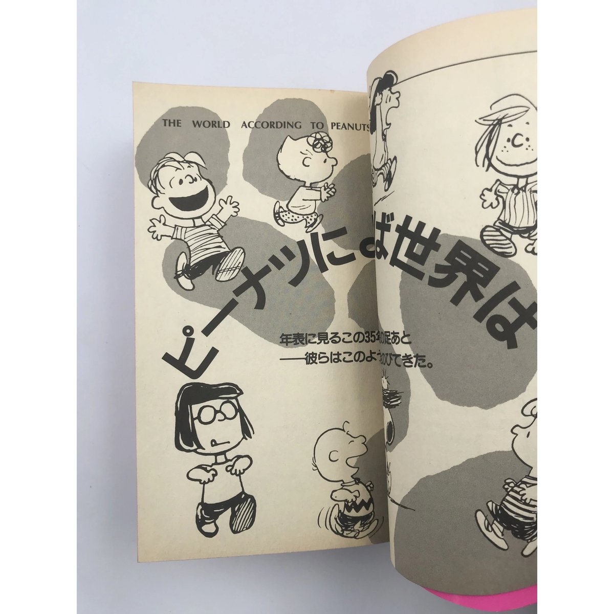 SNOOPY BOOKS スヌーピー24冊　谷川俊太郎訳　レア希少ビンテージ SNOOPY BOOKS スヌーピー24冊 谷川俊太郎訳 レア希少ビンテージ