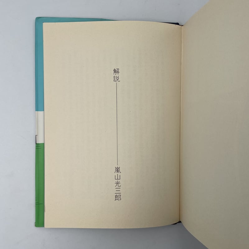 Title/ ”新装版”青の時代 Author/ 安西水丸 | COWBOOKS