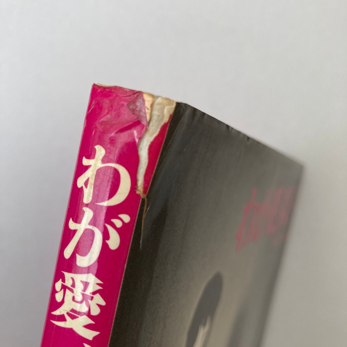 Title/ わが愛、陽子 Author/ 荒木経惟 | COWBOOKS