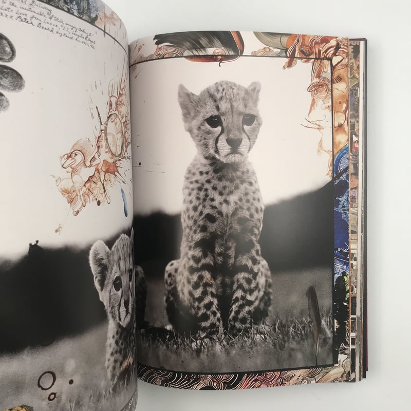 Title/ Peter Beard Author/ Peter Beard | COWBOOKS