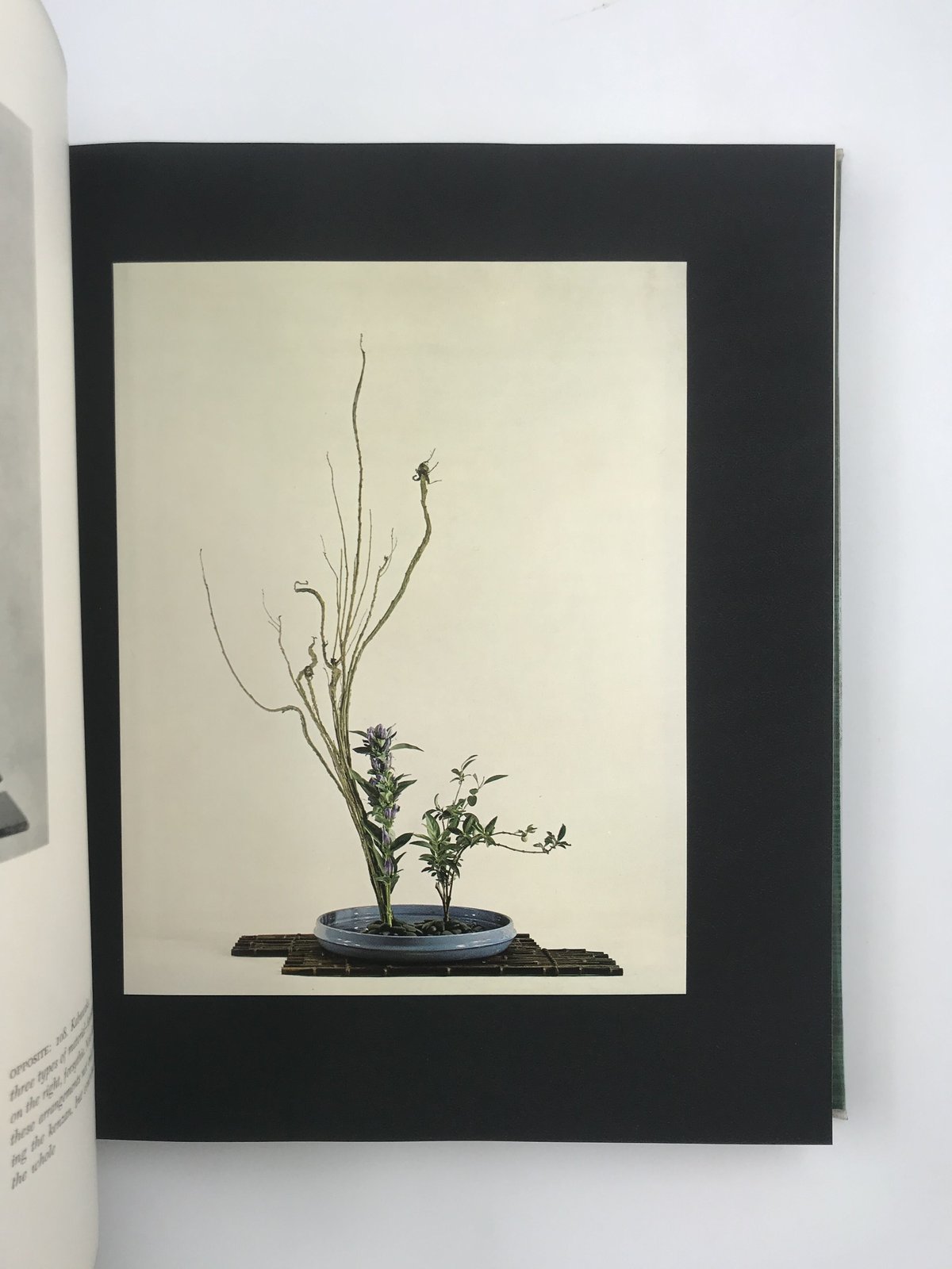 Title/ The Art of Arranging Flowers Author/ Sh