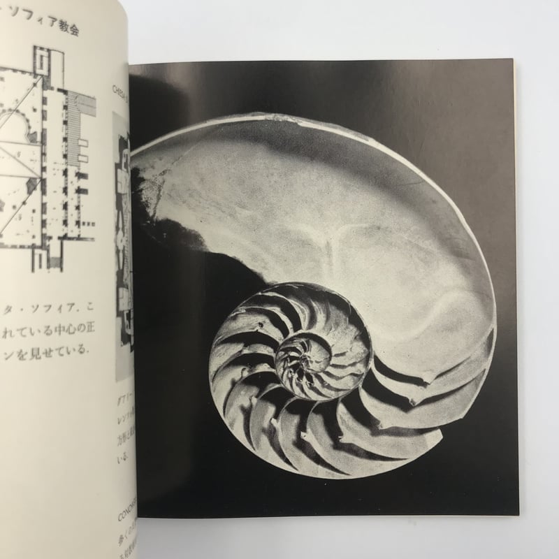 Title/ 円＋正方形 Author/ ブルーノ・ムナーリ | COWBOOKS