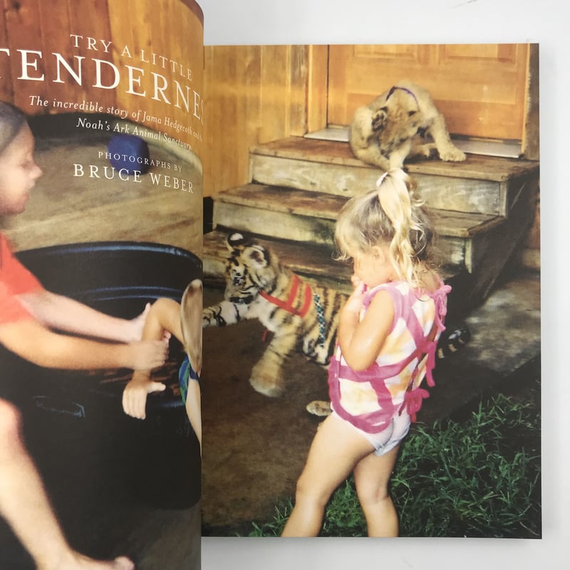 【希少】BRUCE WEBER ブルースウェバー ALL-AMERICAN ブルース・ウェーバー: BRUCE WEBER: ALL-AMERICAN XIV: Affairs