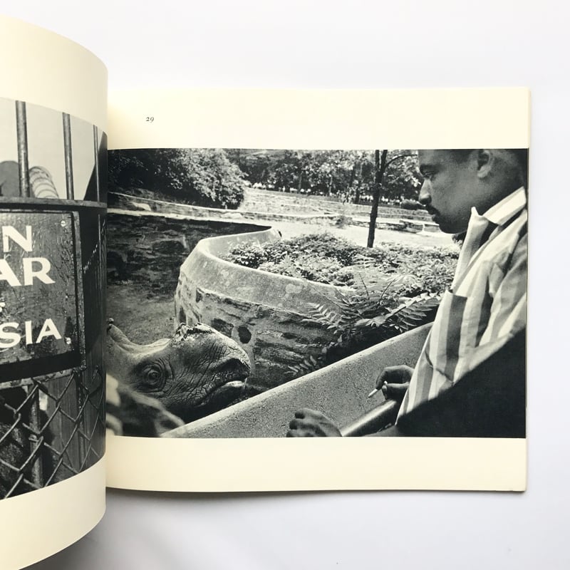 Title/ The Animals Author/ Garry Winogrand