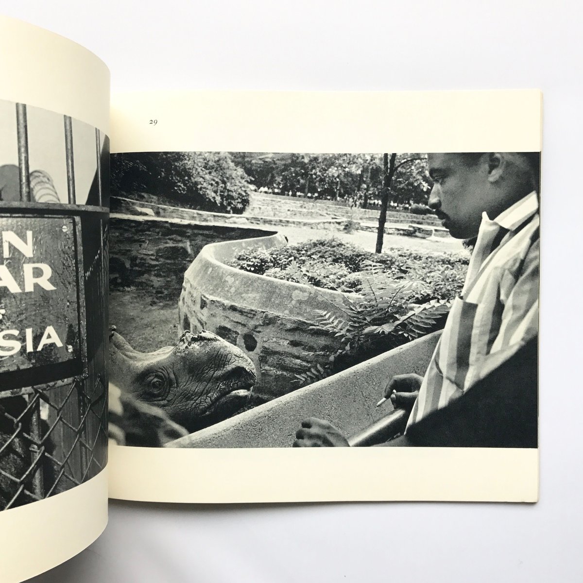 Title/ The Animals Author/ Garry Winogrand