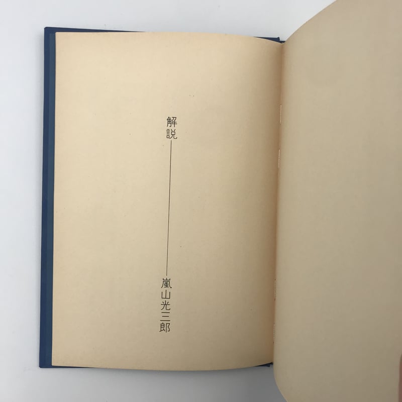 Title/ 青の時代 Author/ 安西水丸 | COWBOOKS