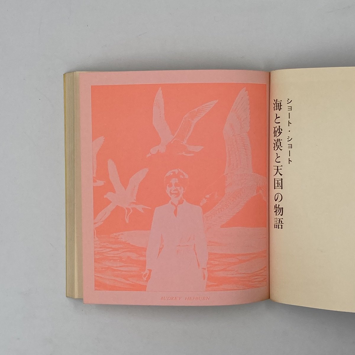 Title/ 恋人たちよ こんにちは Author/ 白石かずこ | COWBOOKS