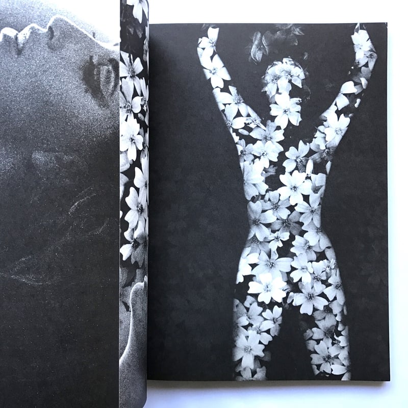 Title/ NOVEMBER GIRLS Softcover Author/ Sam Has