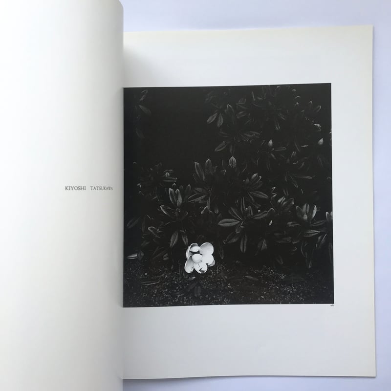 合田佐和子　エッチング Title/ hysteric No.2 Self Portrait Author/ 合田佐和