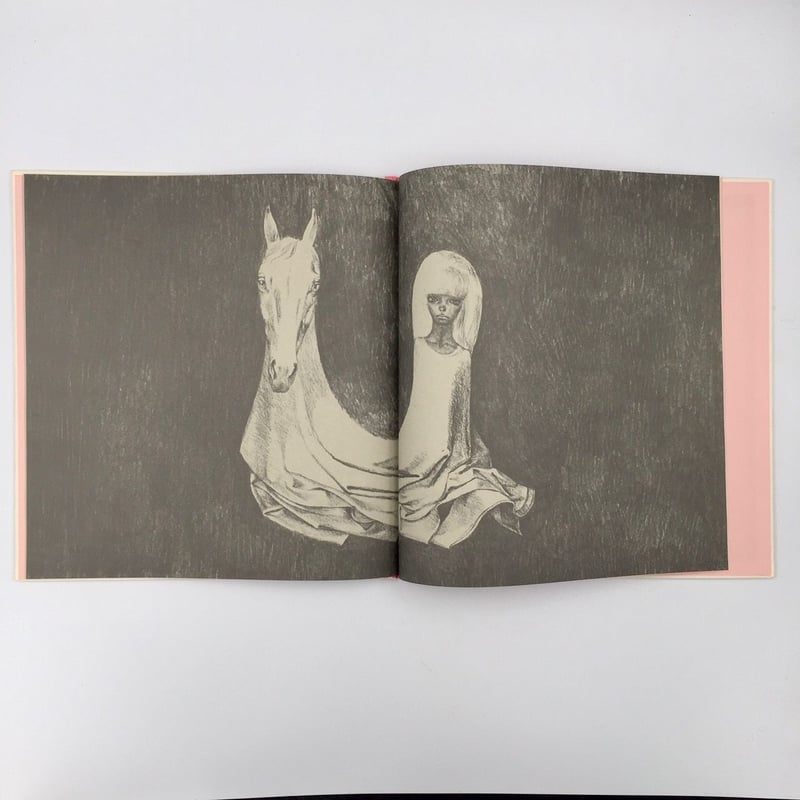 Title/ あのこ Author/ 今江祥智 宇野亜喜良 | COWBOOKS