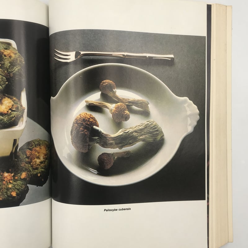 Title/ High Times Encyclopedia Author/ Robert