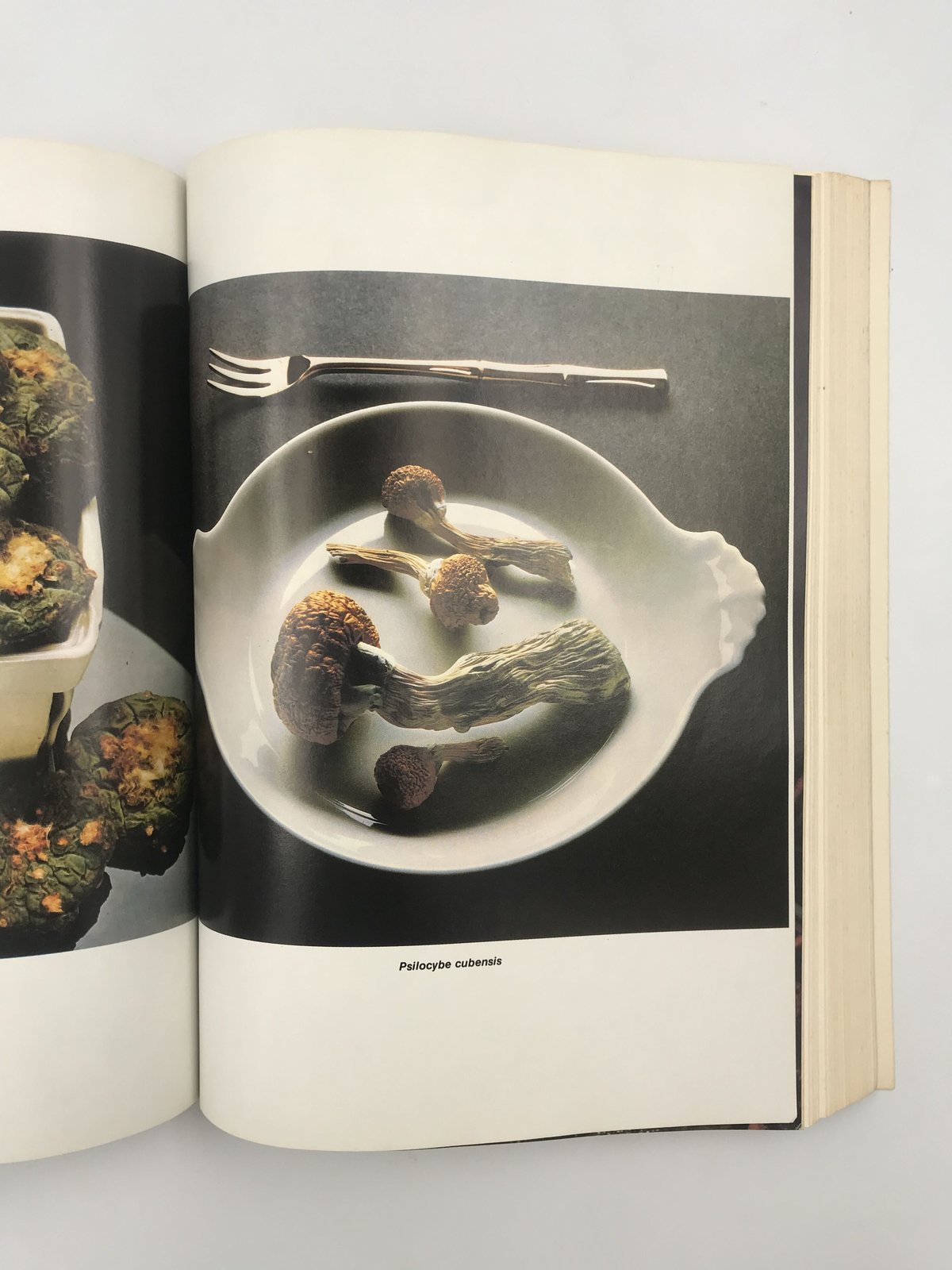 Title/ High Times Encyclopedia Author/ Robert