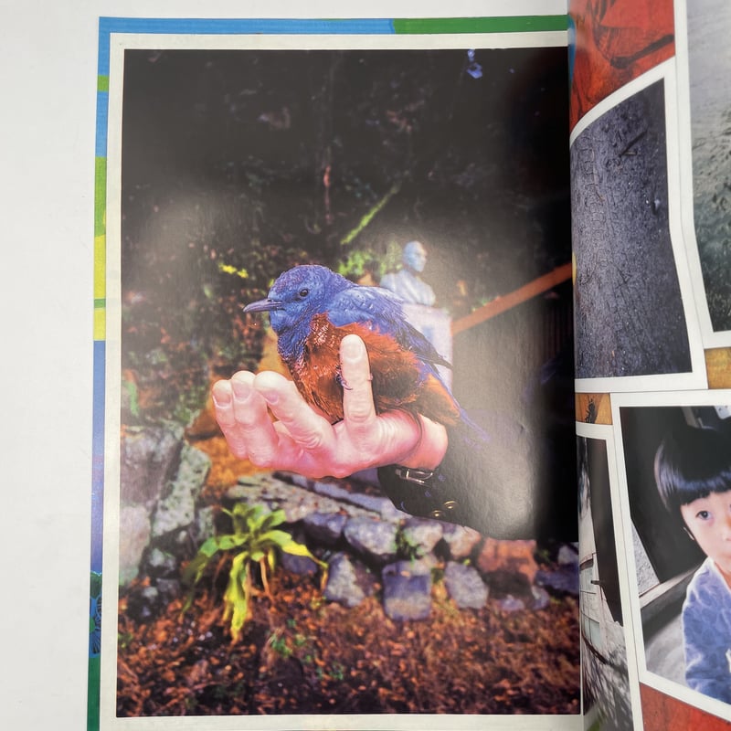 Title/ 宇和島 Author/ 大竹伸朗 森山大道 谷岡ヤスジ | COWBOOKS Title/ 宇和島 Author/ 大竹伸朗 森山大道 谷岡ヤスジ | COWBOOKS