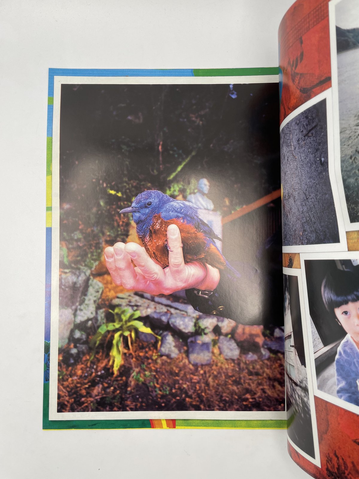 Title/ 宇和島 Author/ 大竹伸朗 森山大道 谷岡ヤスジ | COWBOOKS