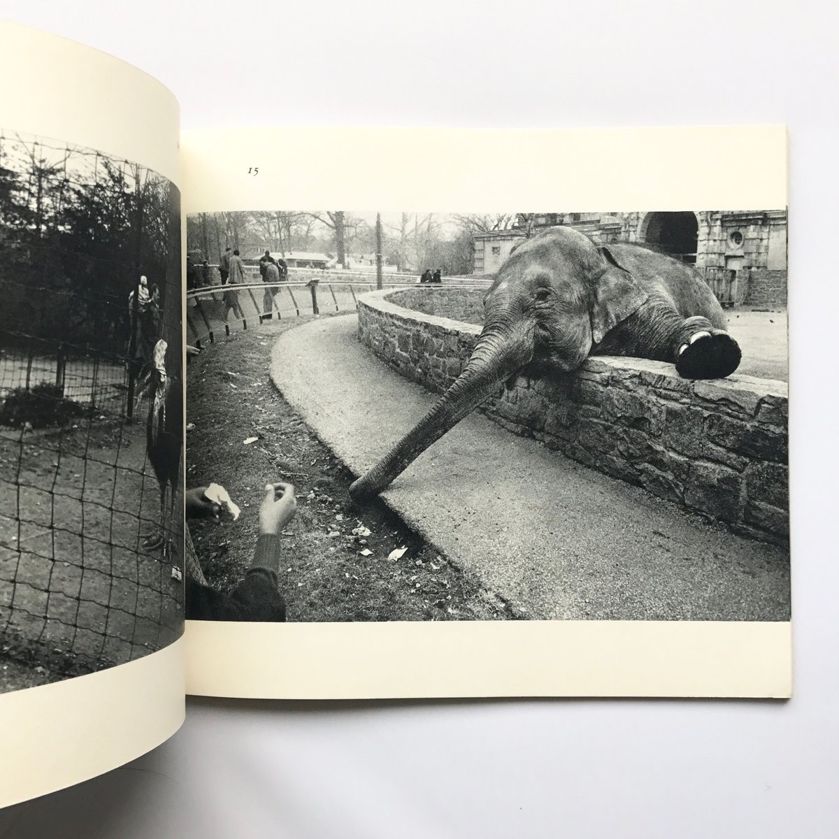 洋書 The Animals / Garry Winogrand GARRY WINOGRAND THE ANIMALS | BOOKNERD