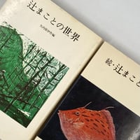 辻まことの世界 正・続 2冊セット