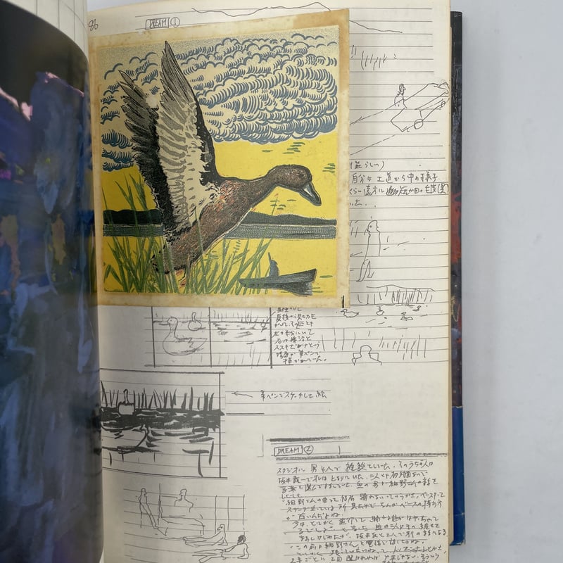 Title/ Dreams Author/ 大竹伸朗 | COWBOOKS