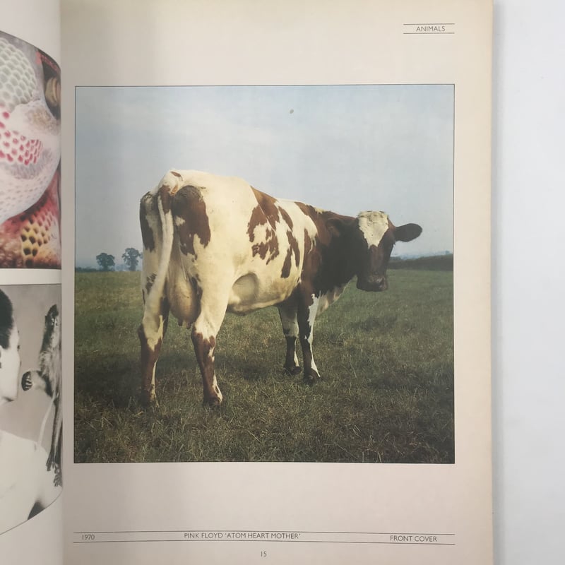 Title/ The Work of Hipgnosis ”Walk Away Rene”