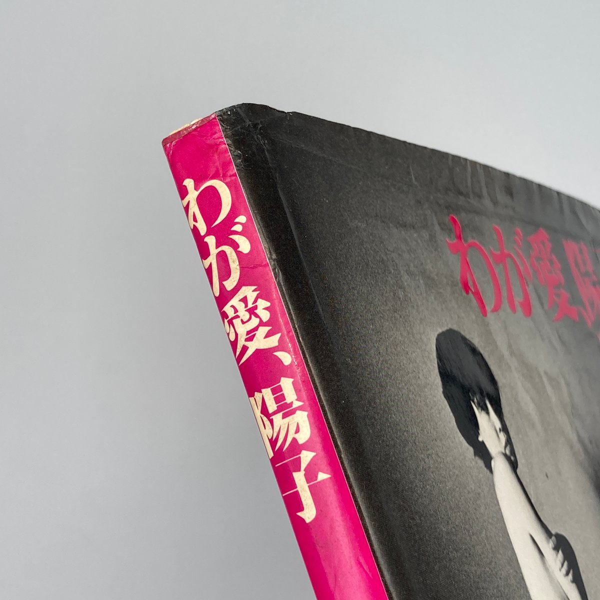 Title/ わが愛、陽子 Author/ 荒木経惟 | COWBOOKS