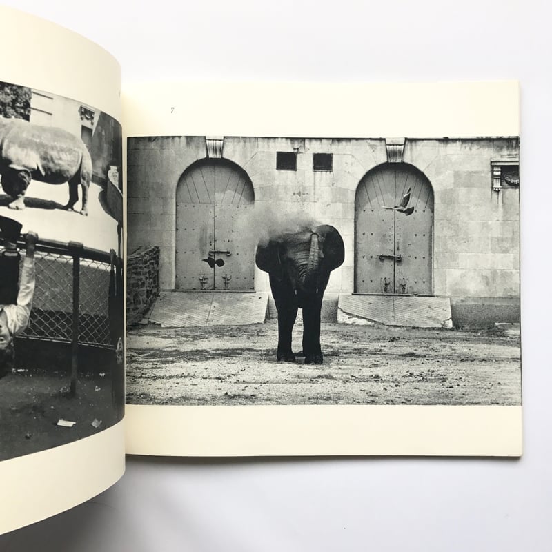 Title/ The Animals Author/ Garry Winogrand