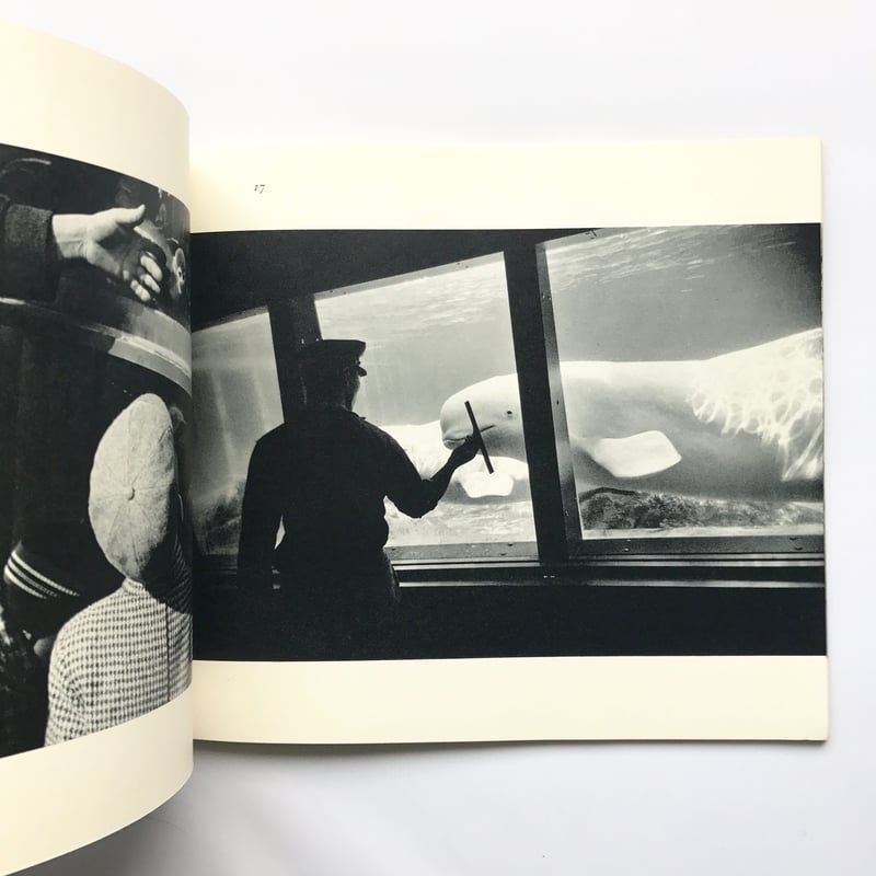 Title/ The Animals Author/ Garry Winogrand